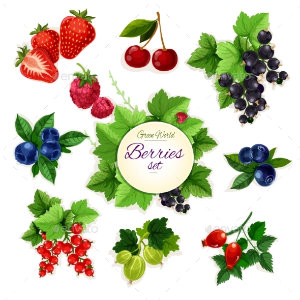 Berries. Forest And Garden Isolated Berry Icon Set - Food Objects