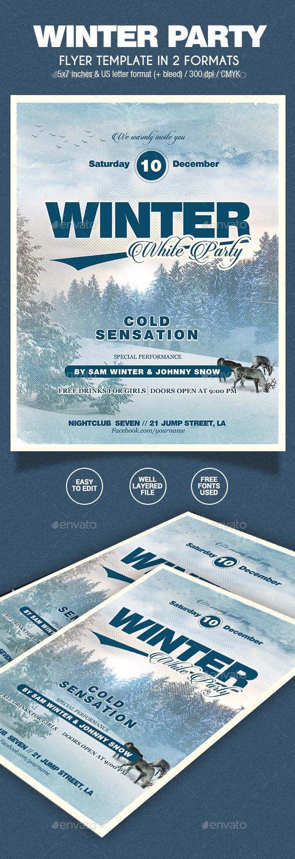 Winter Party Flyer - 2 Formats - Holidays Events