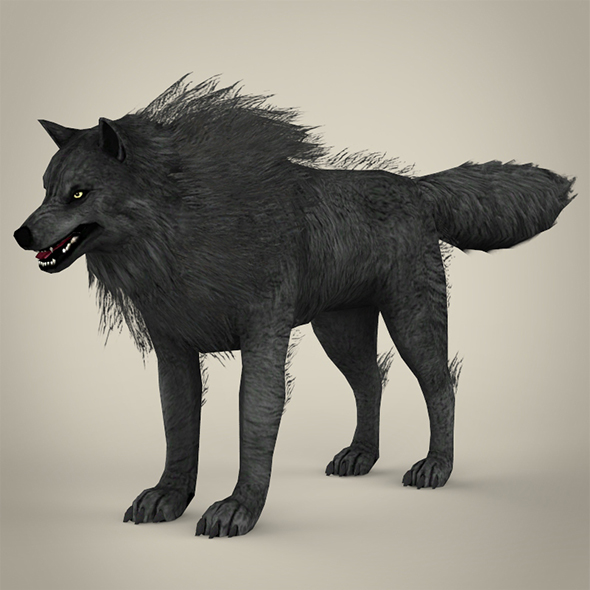 Black Wolf - 3Docean 18805330