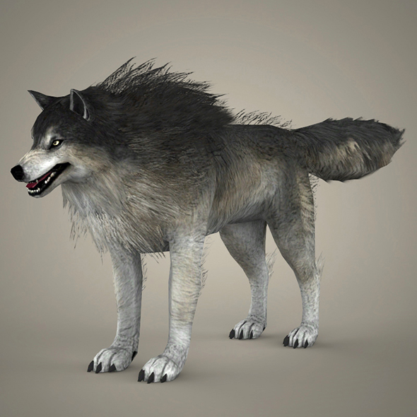 Brown Wolf - 3Docean 18805410