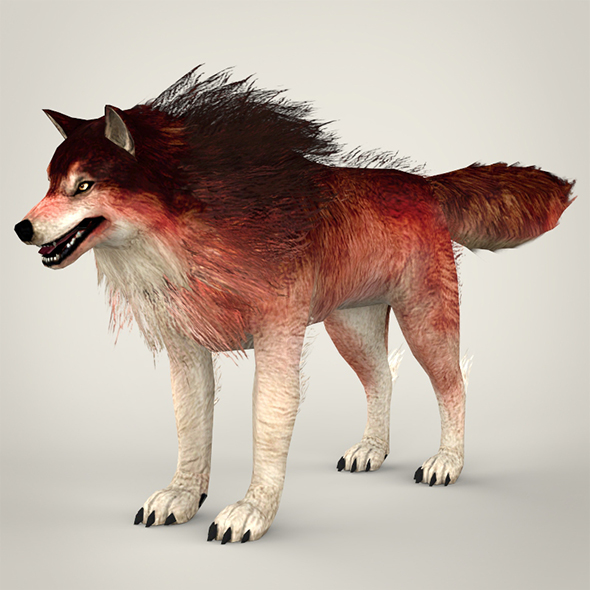 Red Wolf - 3Docean 18806389