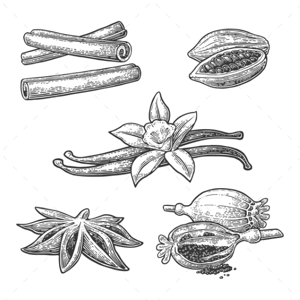Set of Spices - Food Objects