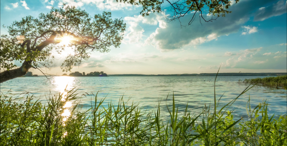 Coast Of Evening Lake alt