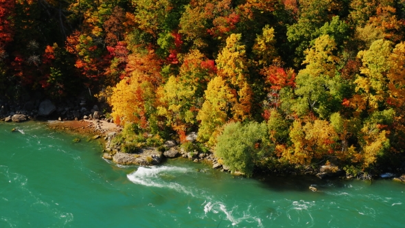 The Richness Of Colors Of Autumn Forest And The Niagara River. Around Niagara Falls alt