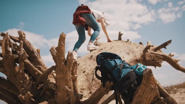 Young Adventurer, Woman Tourist Climbing on the Tree Trunk in the Desert. Focus on the Backpack in alt