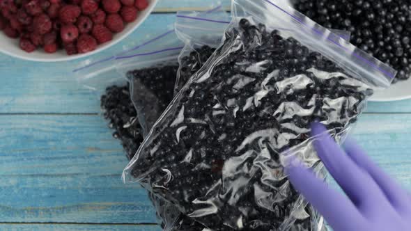 Packages with Blueberries in Zipper Plastic Bags for Freezing. Frozen, Preservation Berries Food alt