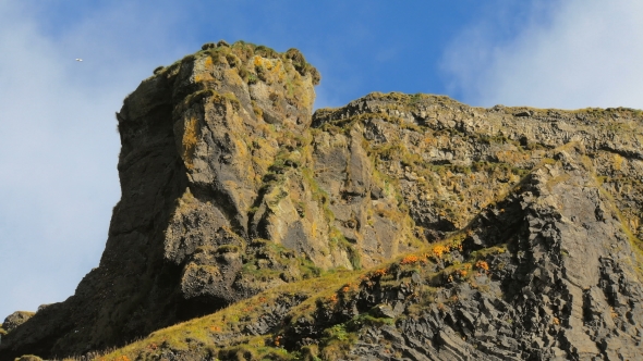 Amazing Basalt Rock In South Of Iceland, In Sunny Weather, Flying Birds Near Rock