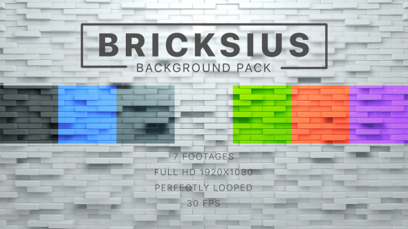 Bricksius BG Pack