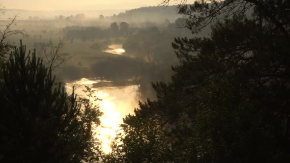 Mist Over the River in the Morning Sun's