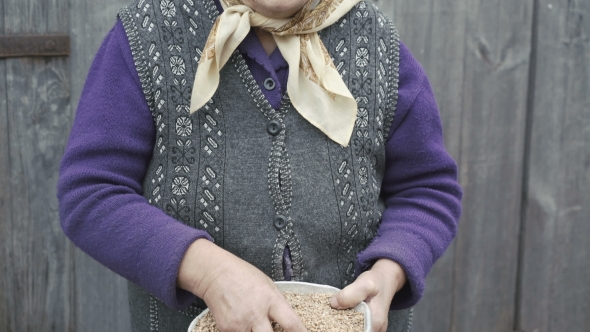 Portrait Of Very Old Smiling Woman Looking Through The Bowl Of Wheats' Grains alt