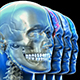 Brain Skull and Head - VideoHive Item for Sale