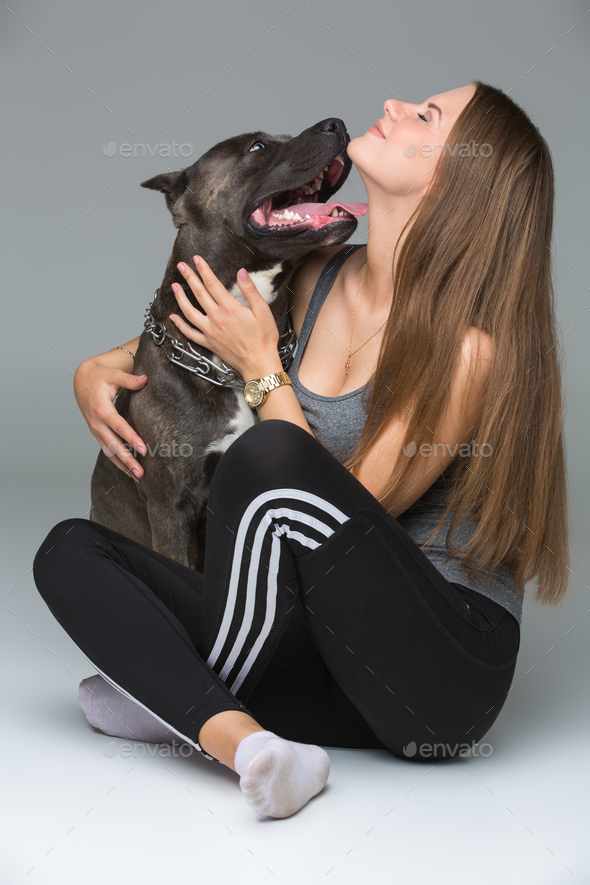 Beautiful girl with grey stafford terrier - Stock Photo - Images