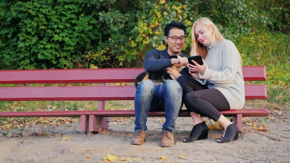 Young Multi-ethnic Couple Enjoying The Tablet In The Park. Sit On The Bench, At The Hands Of Their alt