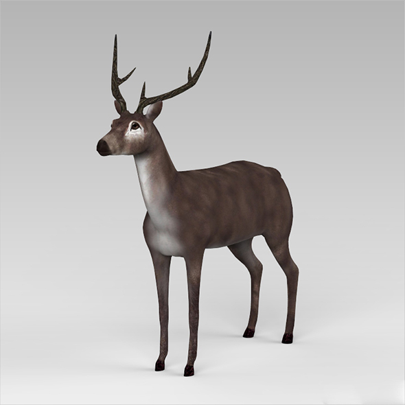 Low Poly Buck - 3Docean 18868715