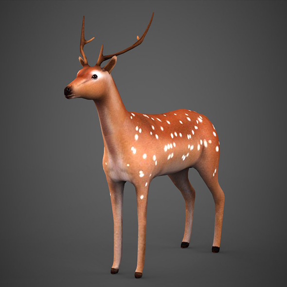Low poly Deer - 3Docean 18868949