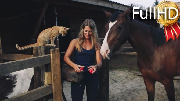 Woman Feeding a Horse an Apple on the Farm