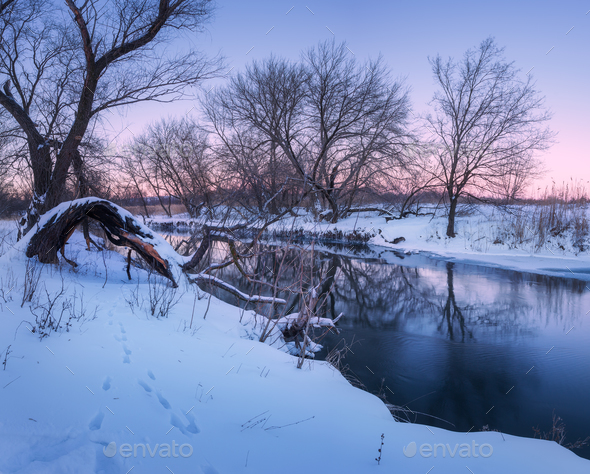 Winter forest on the river. Colorful landscape at sunset - Stock Photo - Images