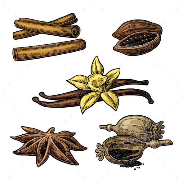 Set of Spices - Food Objects