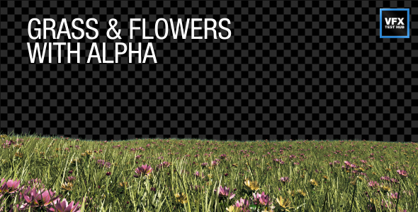 Grass & Flowers with Alpha