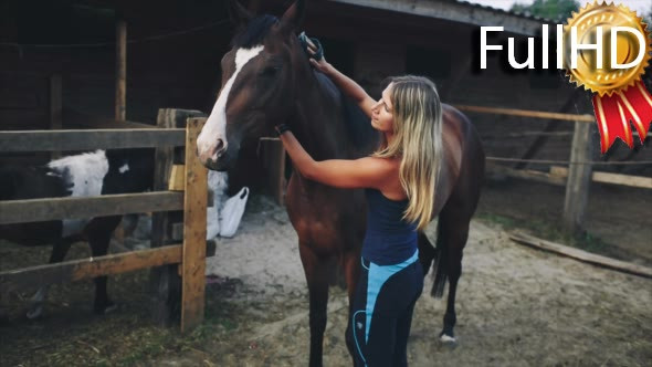 Woman Brushing Her Horse at the Farm