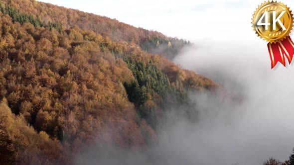 Magnificent Autumn Morning Fog Rises Over the