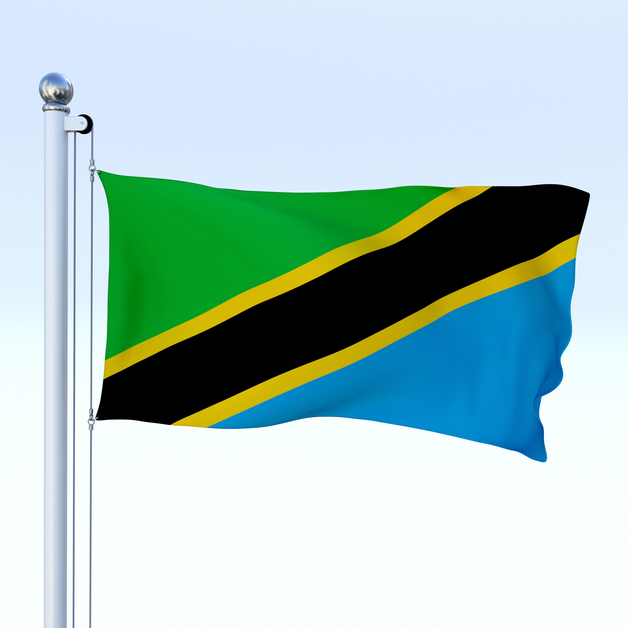 Animated Tanzania Flag by dragosburian | 3DOcean