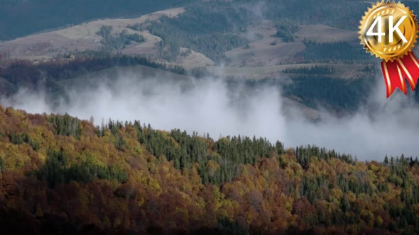 Autumn Morning Foggy Mist Rising Over Pine and