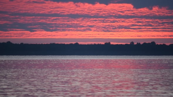 Small Fish Jumps Far Off Out of Water at Dawn