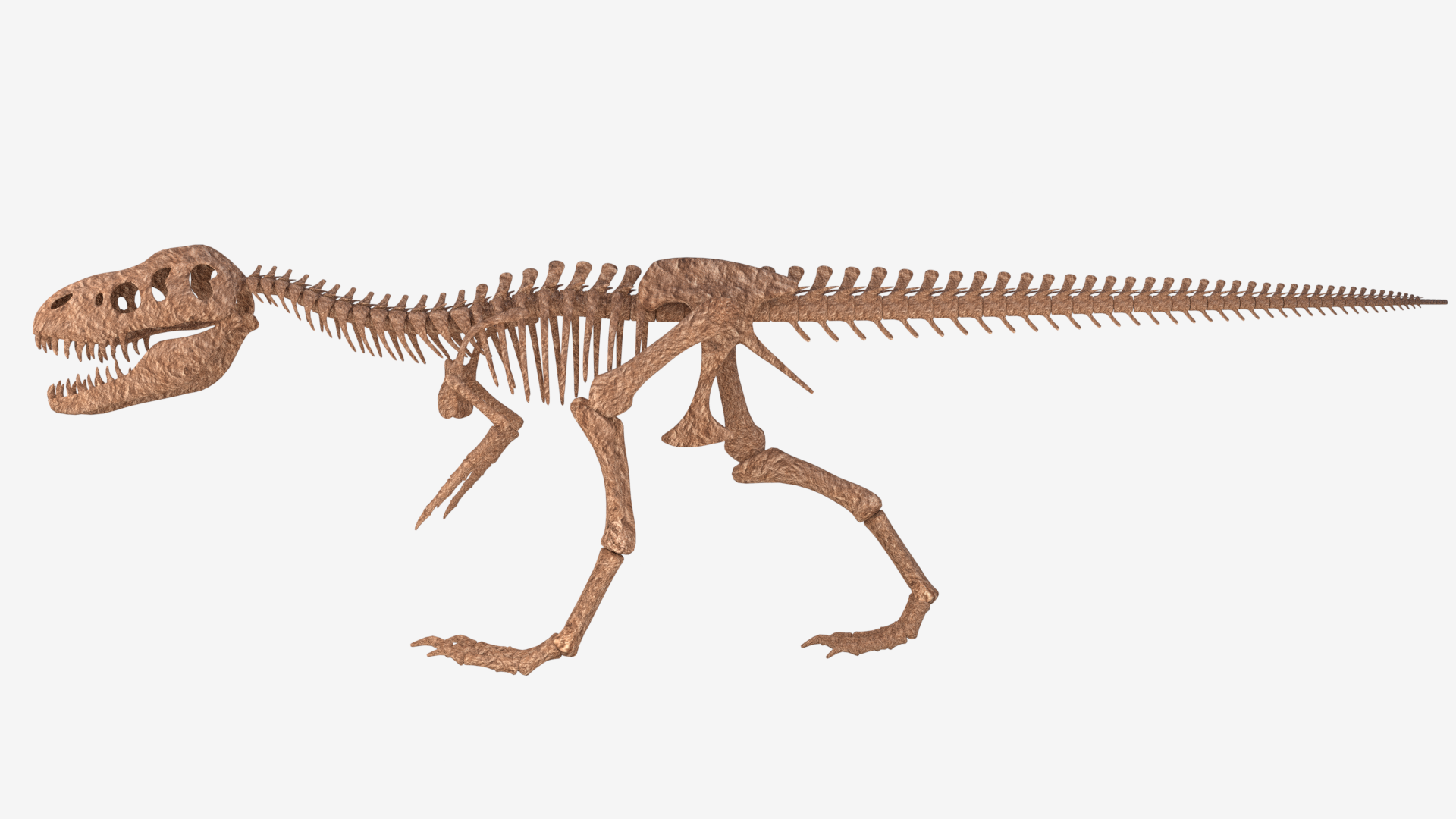 Tyrannosaurus Rex Skeleton By Xepphirestudios 3docean