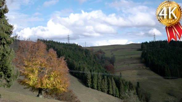 Autumnal Landscape in Carpatian Mountains,