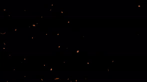 Autumn Leaves Falling alt