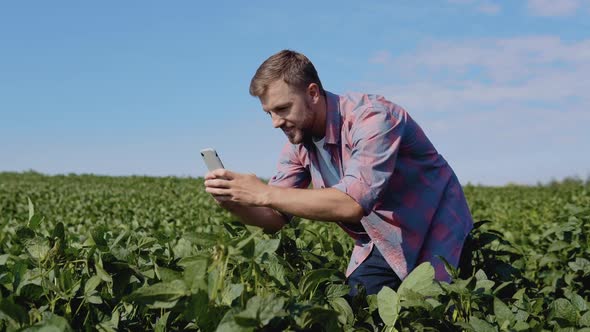 A Young Farmer Takes a Photo of Soybean Sprouts Growing on His Farm alt
