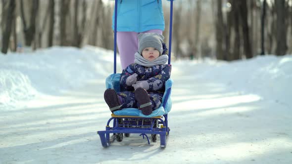 Young Mother Walks on a Snowy Park Holding Sled Which Her Small Daughter is Sitting
