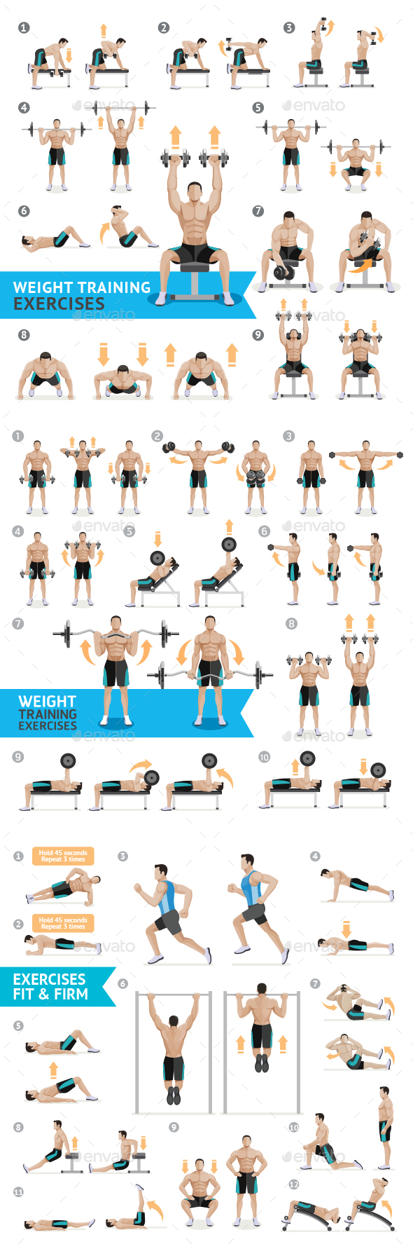 Dumbbell Exercises and Workouts Weight Training