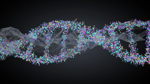 Spiral Strand of DNA