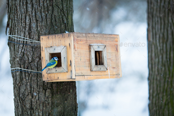 bird feeders. tree house for the birds. Bird feeder in winter p