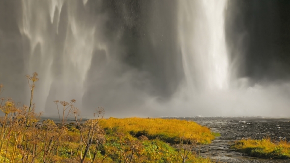 Yellowed and Dry Nordic Grass, Powerful Stream of Waterfall on Background, Autumn in Iceland