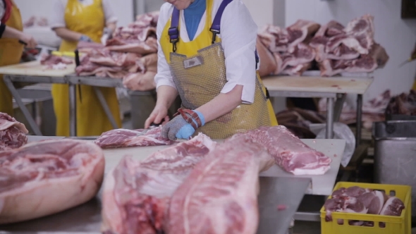Worker Butcher at a Meat Factory Cutting Pork Meat. Fresh Raw Pork Chops in Meat Factory. alt