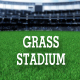 Grass Stadiam - VideoHive Item for Sale