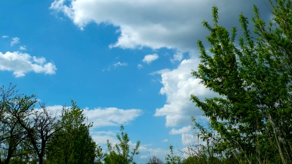 Clip of White Fluffy Clouds Over Blue Sky. Beautiful Cloudscape Before Storm. Tree Branches Sway alt
