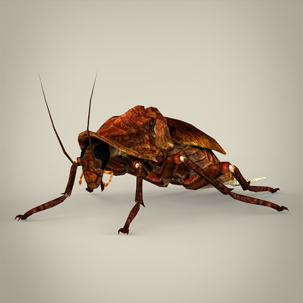 Fantasy Cockroach - 3Docean 18956940