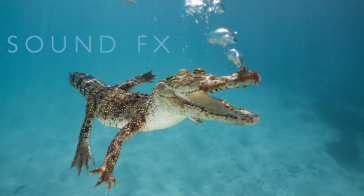 Sound FX