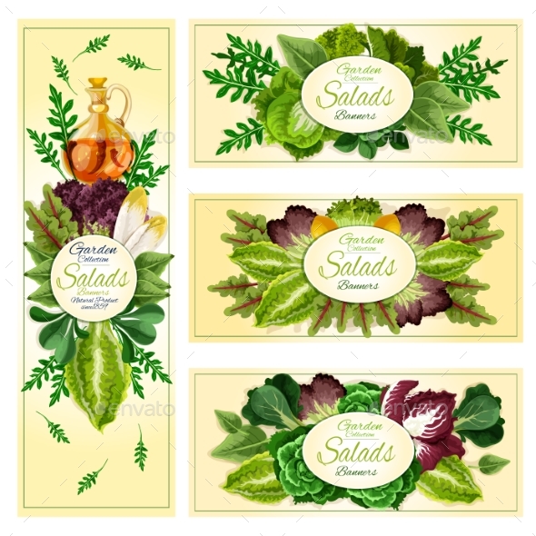 Salad Leaf Vegetable Banner Set - Food Objects