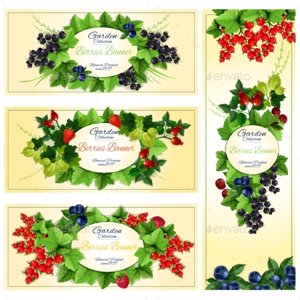 Berry Banner Set with Fruit and Leaf Frames - Food Objects