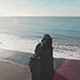 Reynisdrangar Rock Formation - VideoHive Item for Sale