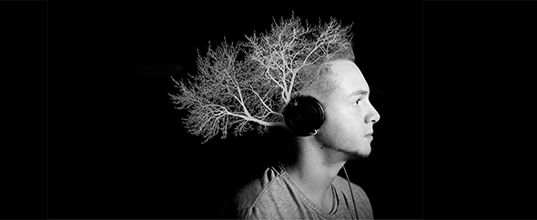 Copertina%20nuova%20albero
