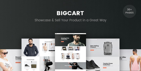 Bigcart - eCommerce PSD Template - Shopping Retail