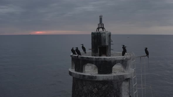 Great Cormorants On Lighthouse At Sunrise Behind Clouds