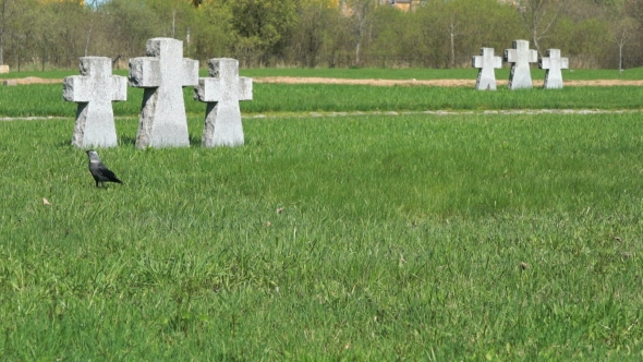 Crosses at German Military Memorial Cemetery alt