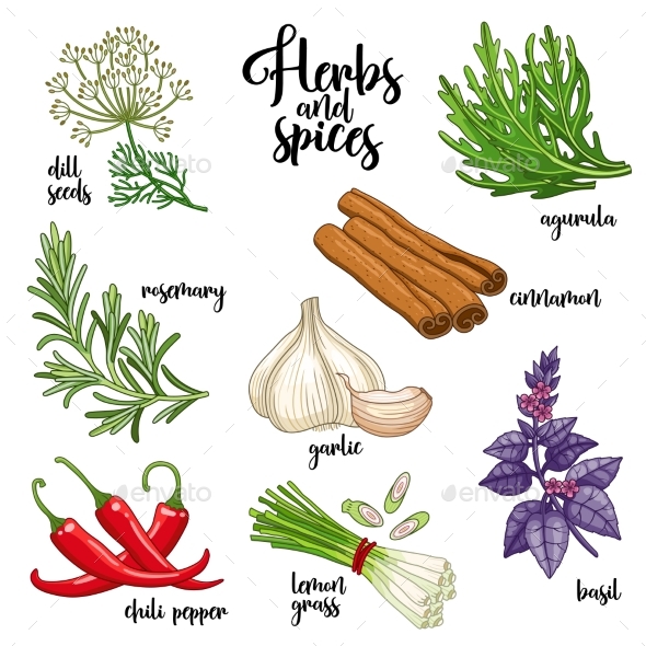 Spices and Herbs Vector Set - Flowers & Plants Nature